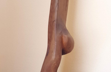 20160405_113519.jpg