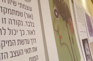 מדעי המוח