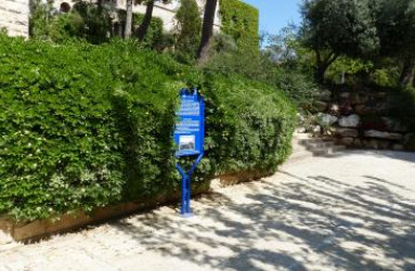 טקס הפתיחה