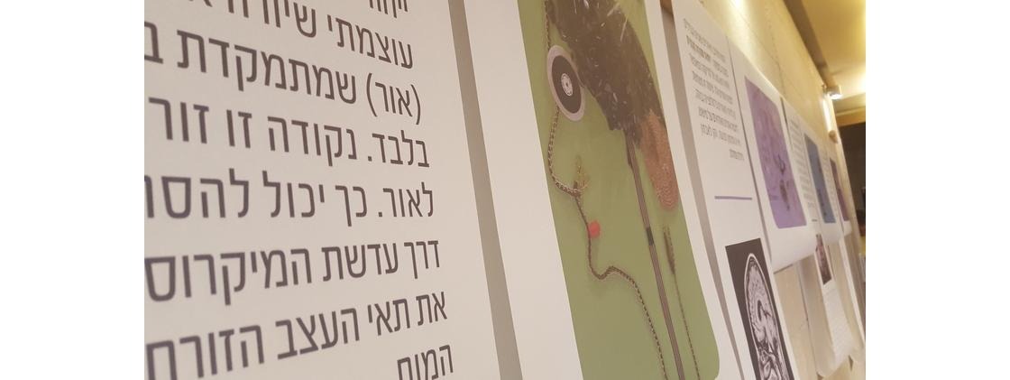 מדעי המוח