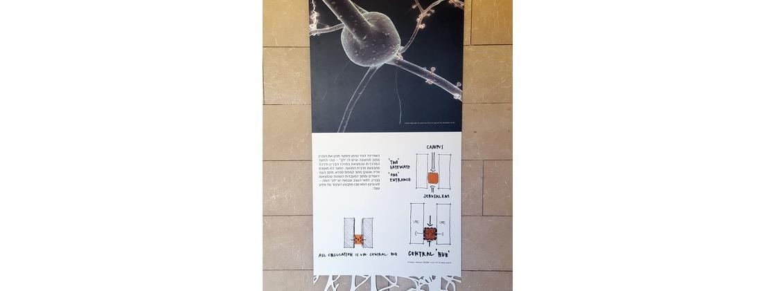 פוטנציאל -> פעולה