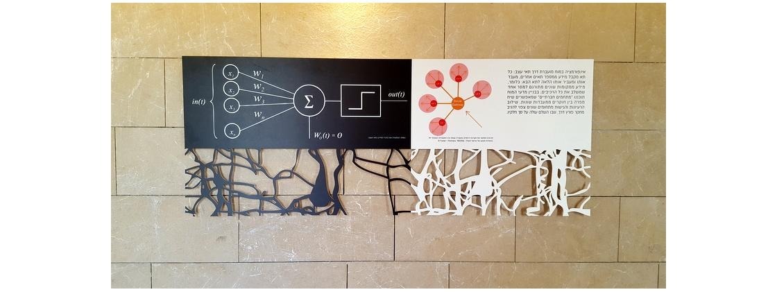 פוטנציאל -> פעולה