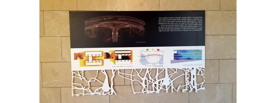 פוטנציאל -> פעולה