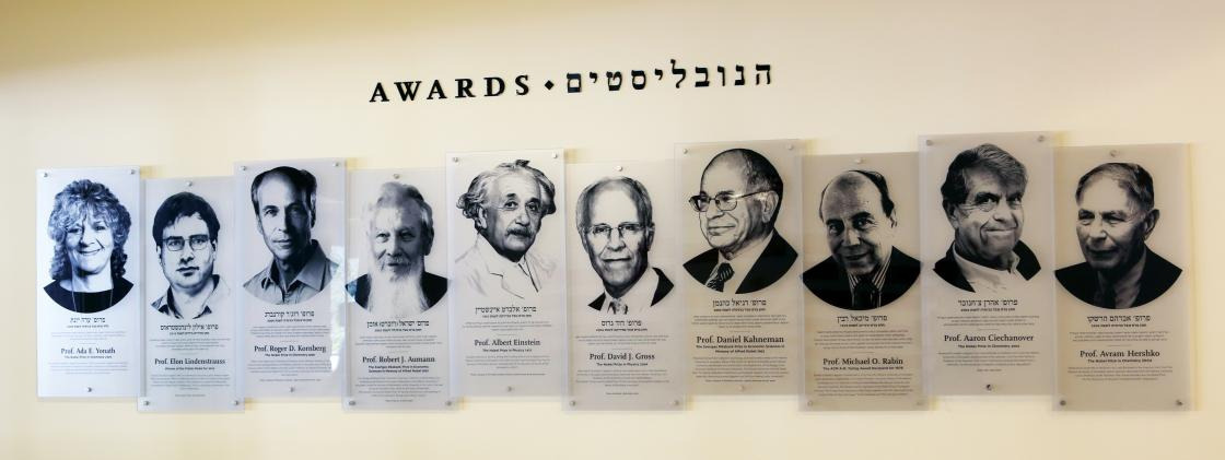 קיר נובליסטים