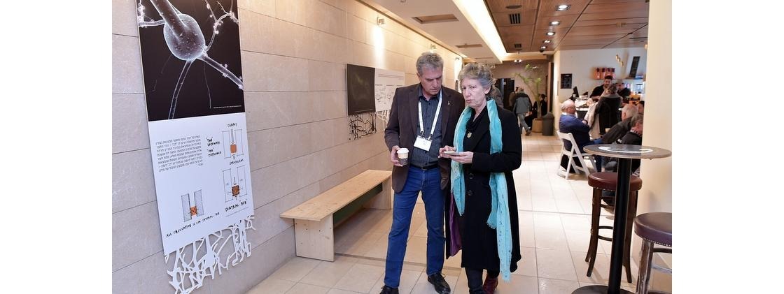 פוטנציאל -> פעולה