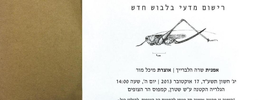 בין הזמנים