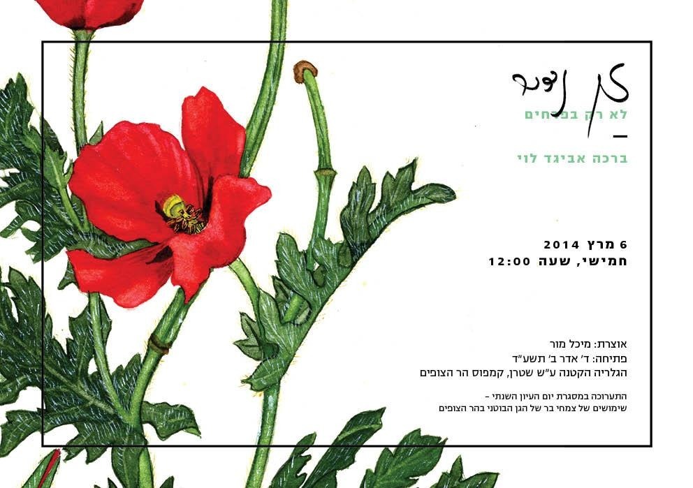 זן נדיר
