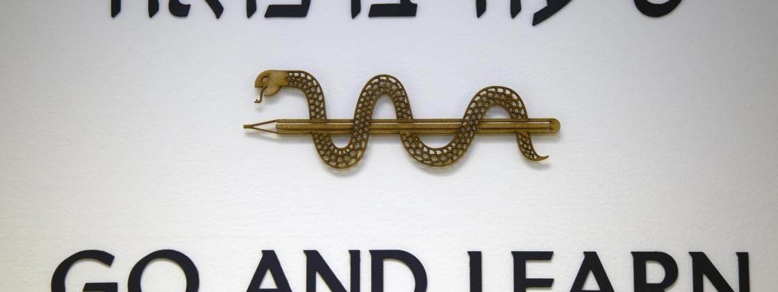 שיעור ברפואה 