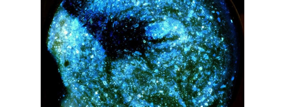 NanoArt Lab 2016
