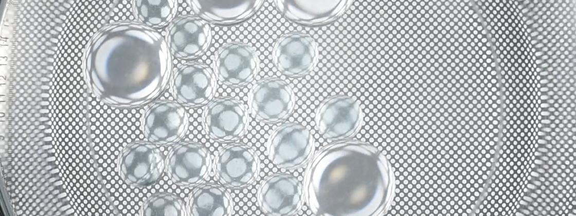 פרויקט NanoArt 2015