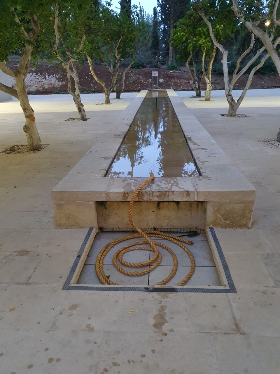 הפנים העירומות שלי