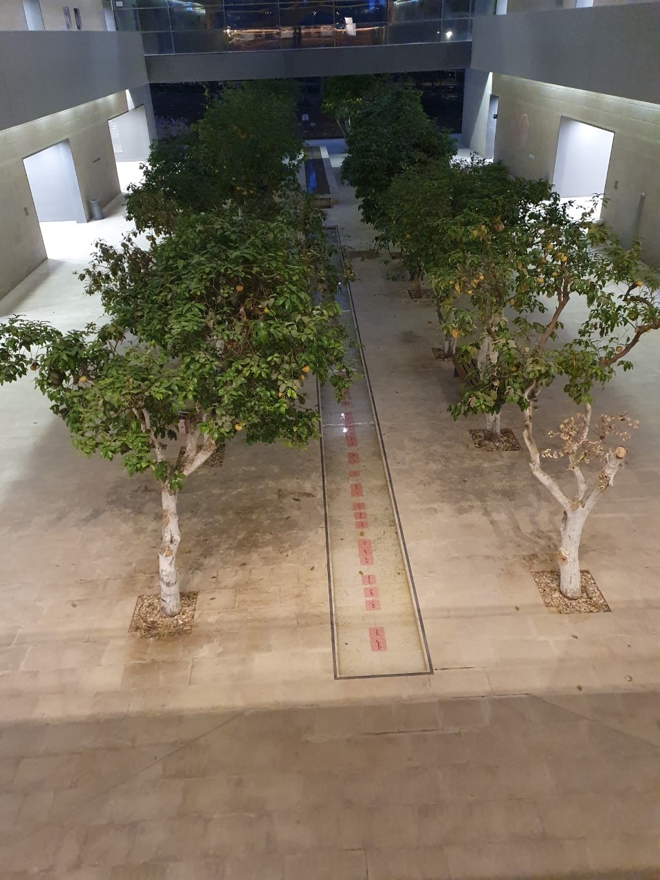 הפנים העירומות שלי