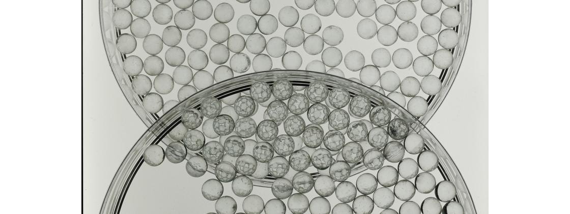 NanoArt Lab 2016